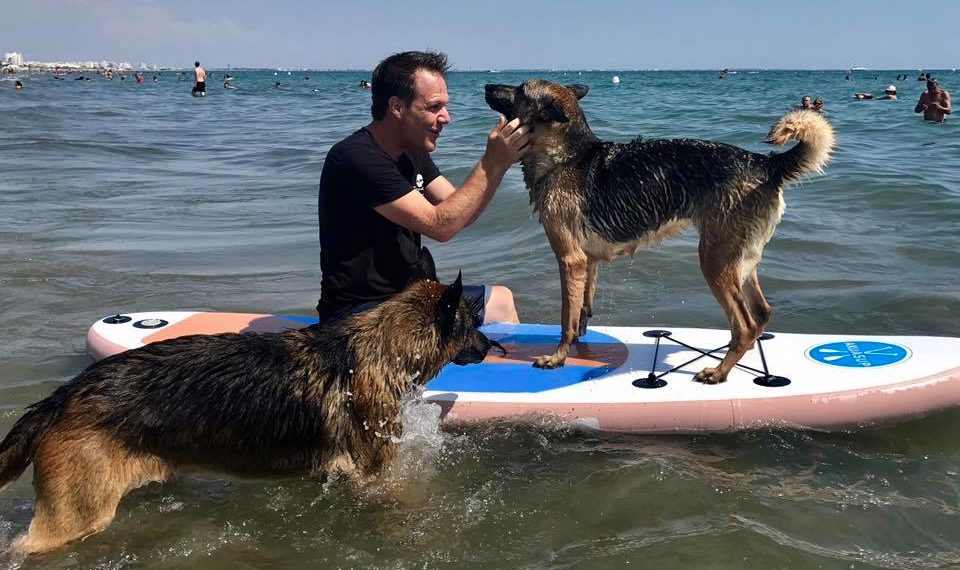 LES PLUS BELLES CITATIONS SUR LES ANIMAUX