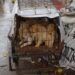 YULIN : STOP AU MASSACRE