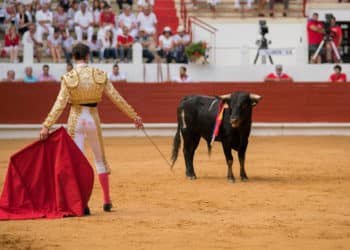 CORRIDA : « QUAND LA TRADITION TUE, IL FAUT TUER LA TRADITION »