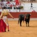 CORRIDA : « QUAND LA TRADITION TUE, IL FAUT TUER LA TRADITION »