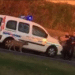 LA POLICE TIRE SUR UN CHIEN : ANYMAL FAIT CIRCULER LA VIDÉO