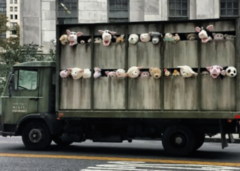 BANKSY ENVOIE DES PELUCHES À L’ABATTOIR
