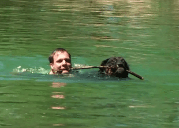 RÉMI GAILLARD : « L’ANIMAL EST BIEN PLUS QU’UN ÊTRE SENSIBLE »