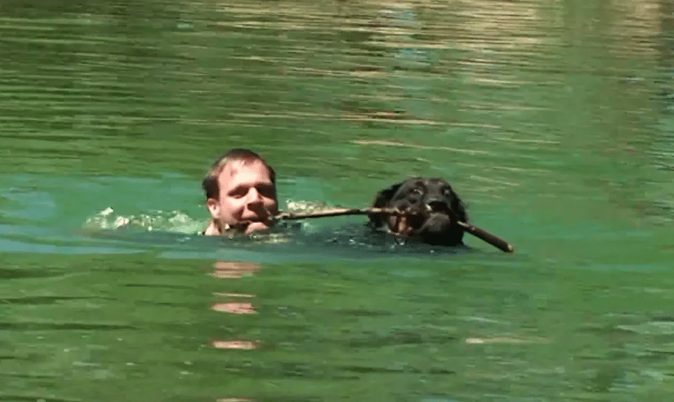 RÉMI GAILLARD : « L’ANIMAL EST BIEN PLUS QU’UN ÊTRE SENSIBLE »
