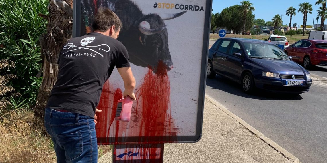 AFFICHAGES PUBLICITAIRES ANYMAL