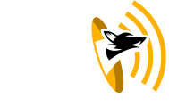 Anymal