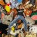 LE COMBAT DE RÉMI GAILLARD POUR LES ANIMAUX SUR CANAL+