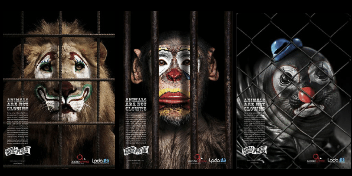 TOP DES CAMPAGNES CONTRE LES CIRQUES AVEC ANIMAUX