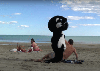 RÉMI GAILLARD S’ATTAQUE À MARINELAND DANS SA DERNIÈRE VIDÉO