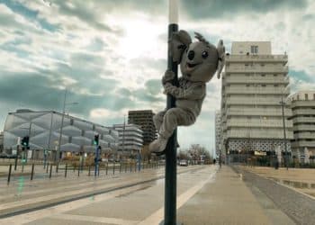 SPOTS VIDÉOS ANYMAL