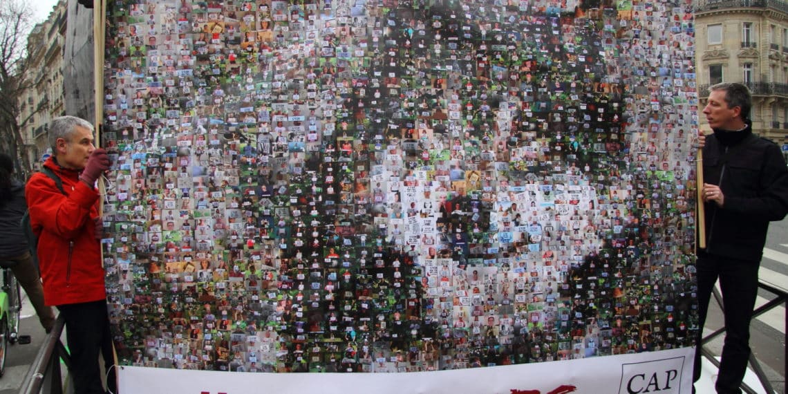 LOUP : UNE CAMPAGNE POUR FAIRE STOPPER LES TIRS