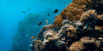 866 nouvelles espèces marines découvertes : une révolution dans l’exploration des océans