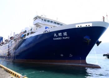 Japon : un nouveau navire pour chasser la baleine, malgré l’indignation mondiale