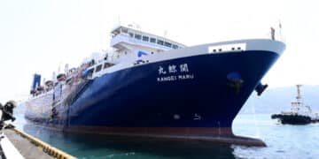 Japon : un nouveau navire pour chasser la baleine, malgré l’indignation mondiale