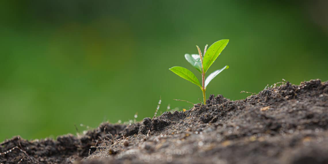 UN NOUVEAU MÉDIA… AVEC UNE MÉTÉO SIGNÉE ANYMAL