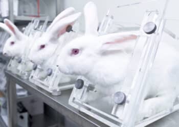 Baisse continue de l’utilisation d’animaux dans les laboratoires français