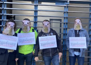 MONTPELLIER : DES LOUTRES EN COLÈRE DEVANT LE CONSEIL MUNICIPAL